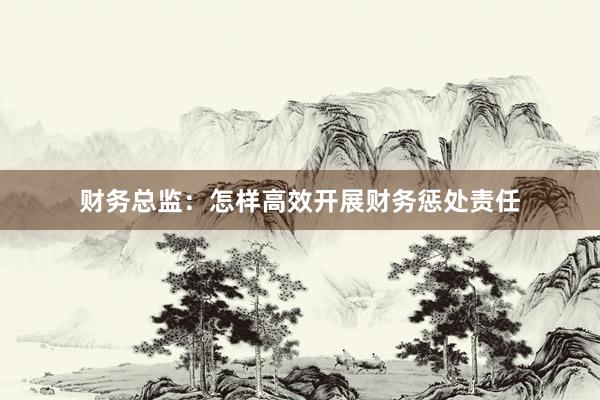 财务总监：怎样高效开展财务惩处责任