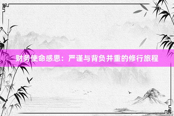 财务使命感思：严谨与背负并重的修行旅程
